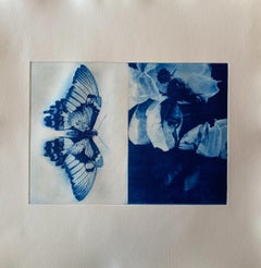 Butterfly with mottled magnolia face by Kristen Flynn