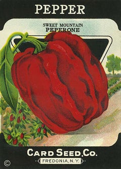 c.1900 Seed Packet - 10