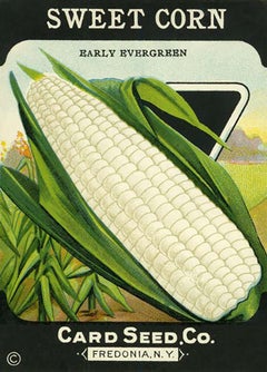 c.1900 Seed Packet - 11