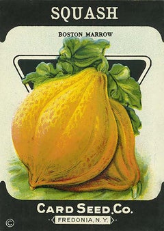 c.1900 Seed Packet - 13