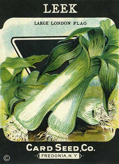 c.1900 Seed Packet - 14