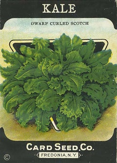 c.1900 Seed Packet - 5