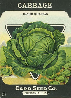 c.1900 Seed Packet - 7