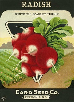 c.1900 Seed Packet - 9