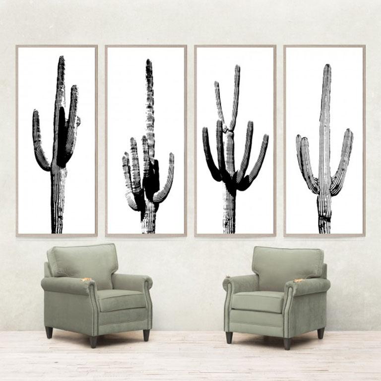 Cactus Panel No. 2, giclee print, acrylic box, framed - Print by Unknown