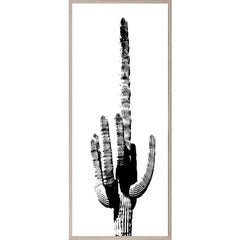 Cactus Panel No. 2, giclee print, acrylic box, framed