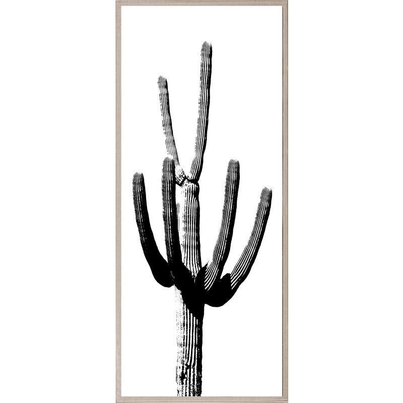 Unknown Landscape Print - Cactus Panel No. 3, giclee print, acrylic box, framed