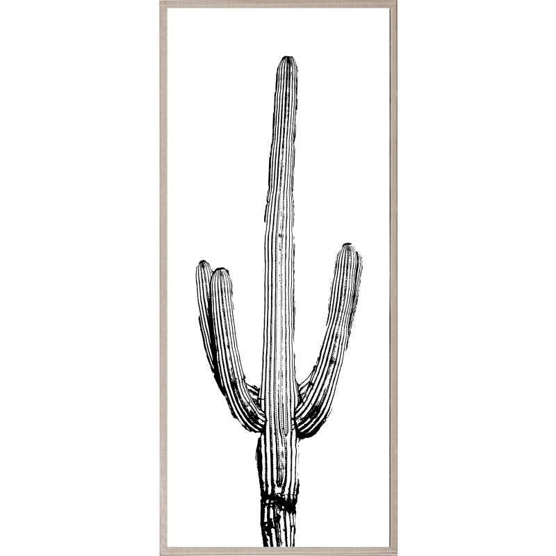 Unknown Landscape Print - Cactus Panel No. 4, giclee print, acrylic box, framed