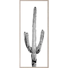 Cactus Panel No. 4, giclee print, acrylic box, framed