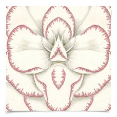 Carnations, No. 3, giclee print, unframed