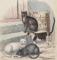 Cats - Original Lithograph - 1860