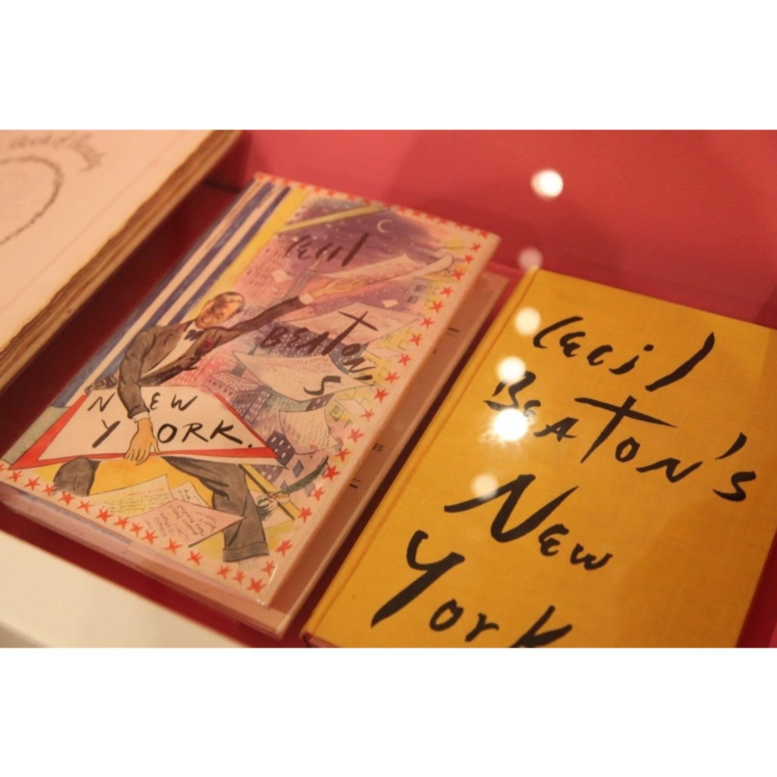 Striscione originale su tela del Museum of The City of New York sulla Fifth Avenue per celebrare la loro storica mostra del 2013, con l'immagine della copertina di 