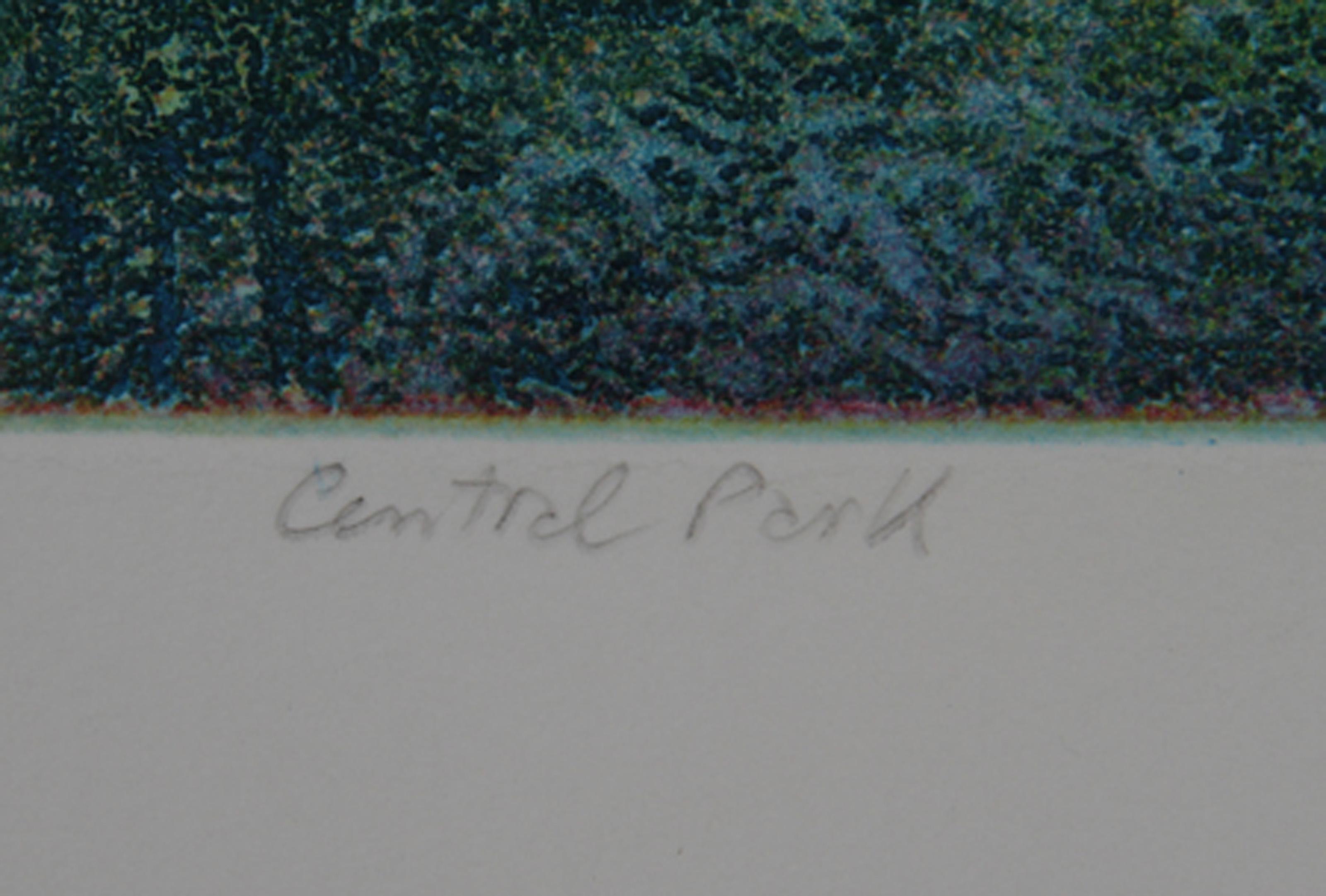 Central Park, Modern Aquatint Etching by Biagio Civale - Print by Unknown