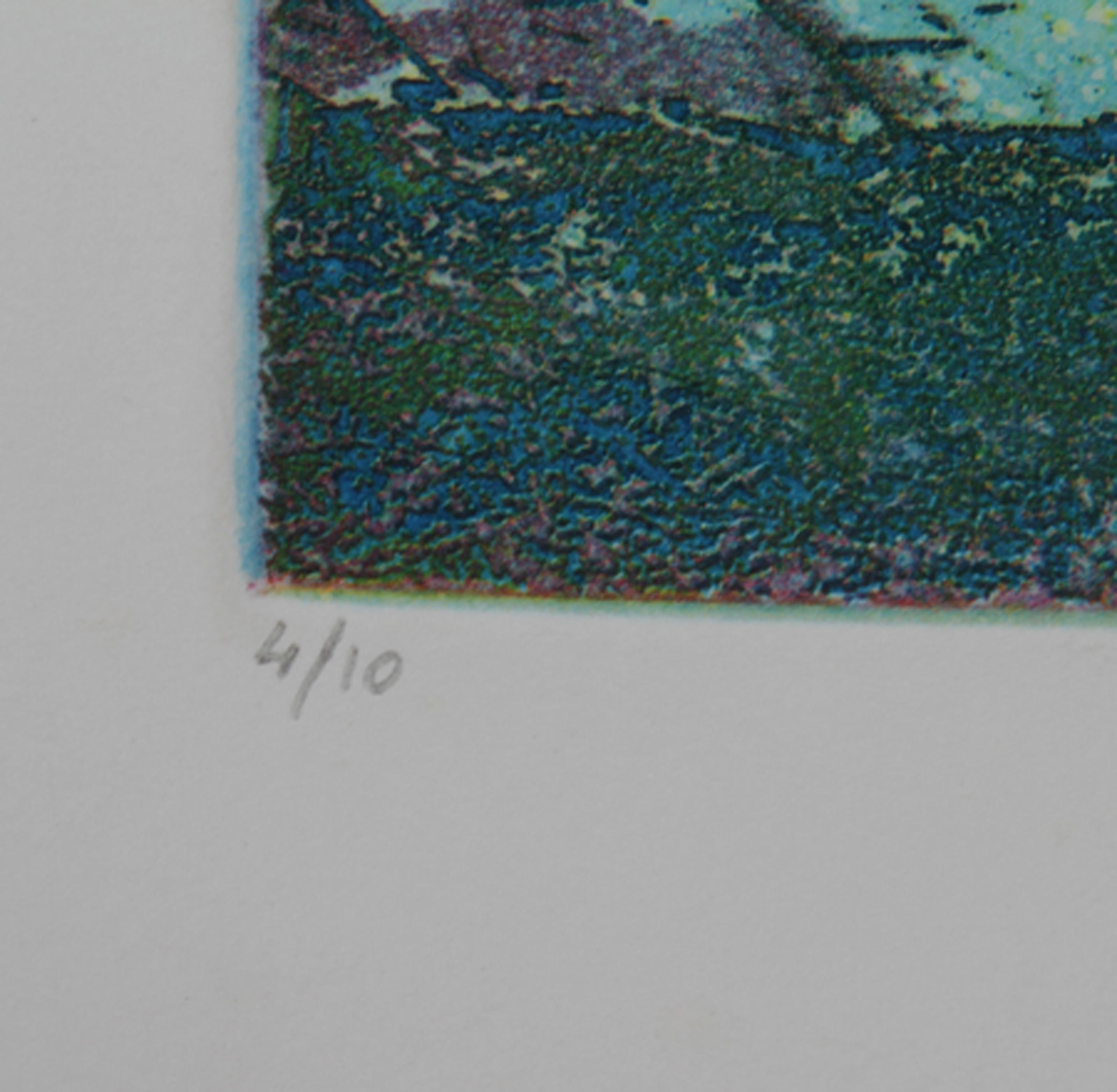 Central Park, Modern Aquatint Etching by Biagio Civale - Blue Landscape Print by Unknown