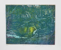 Central Park, Modern Aquatint Etching by Biagio Civale