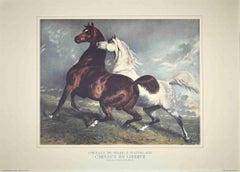 Chevaux en Liberté - Original Lithograph - 20th Century