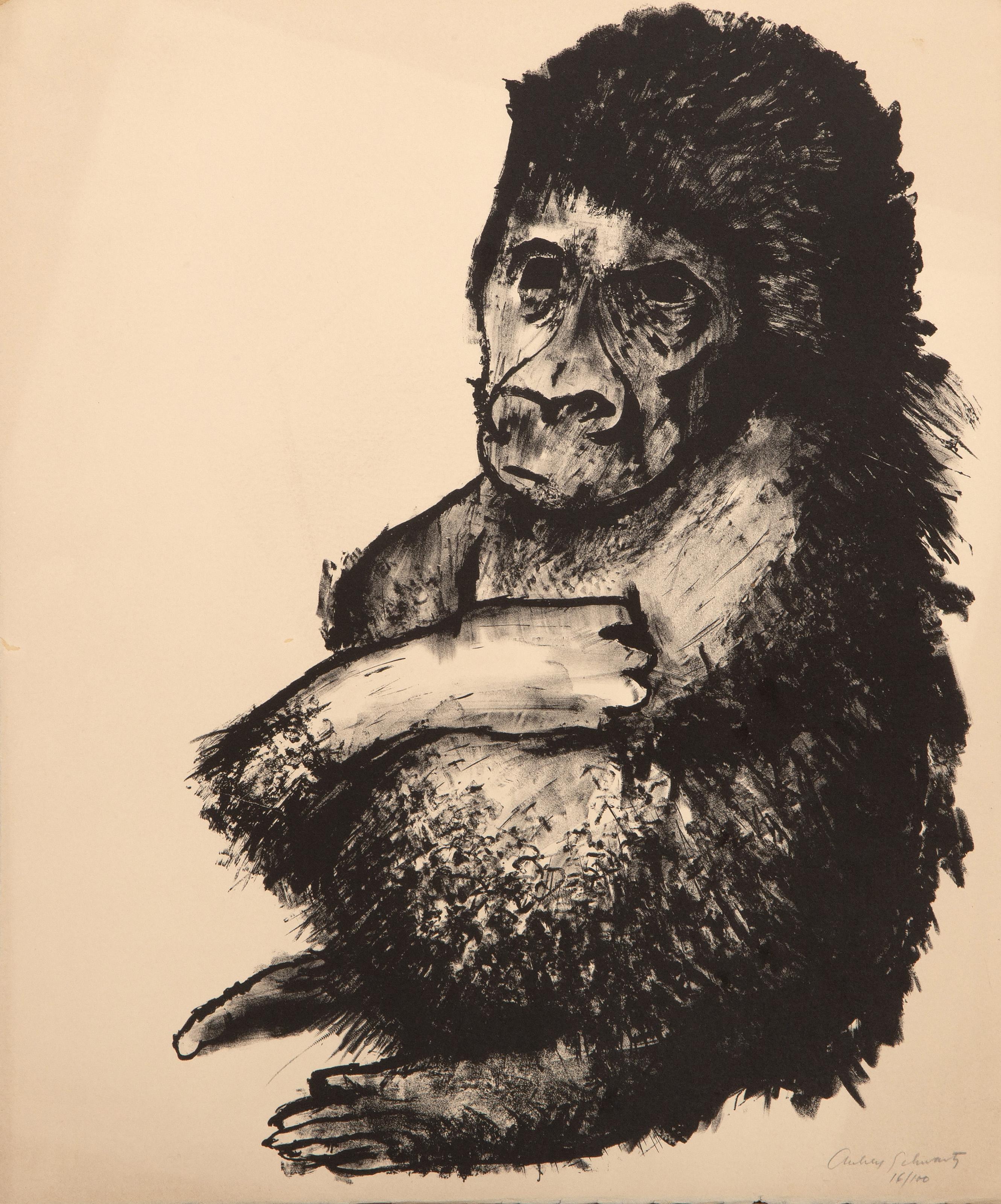  Aubrey Schwartz, estadounidense (1928 - 2019) -  Chimpancé, Año: hacia 1965, Medio: Litografía sobre Arches, firmada y numerada a lápiz, Edición: 16/100, Tamaño: 45,72 x 38,1 cm (18 x 15 pulg.) 

