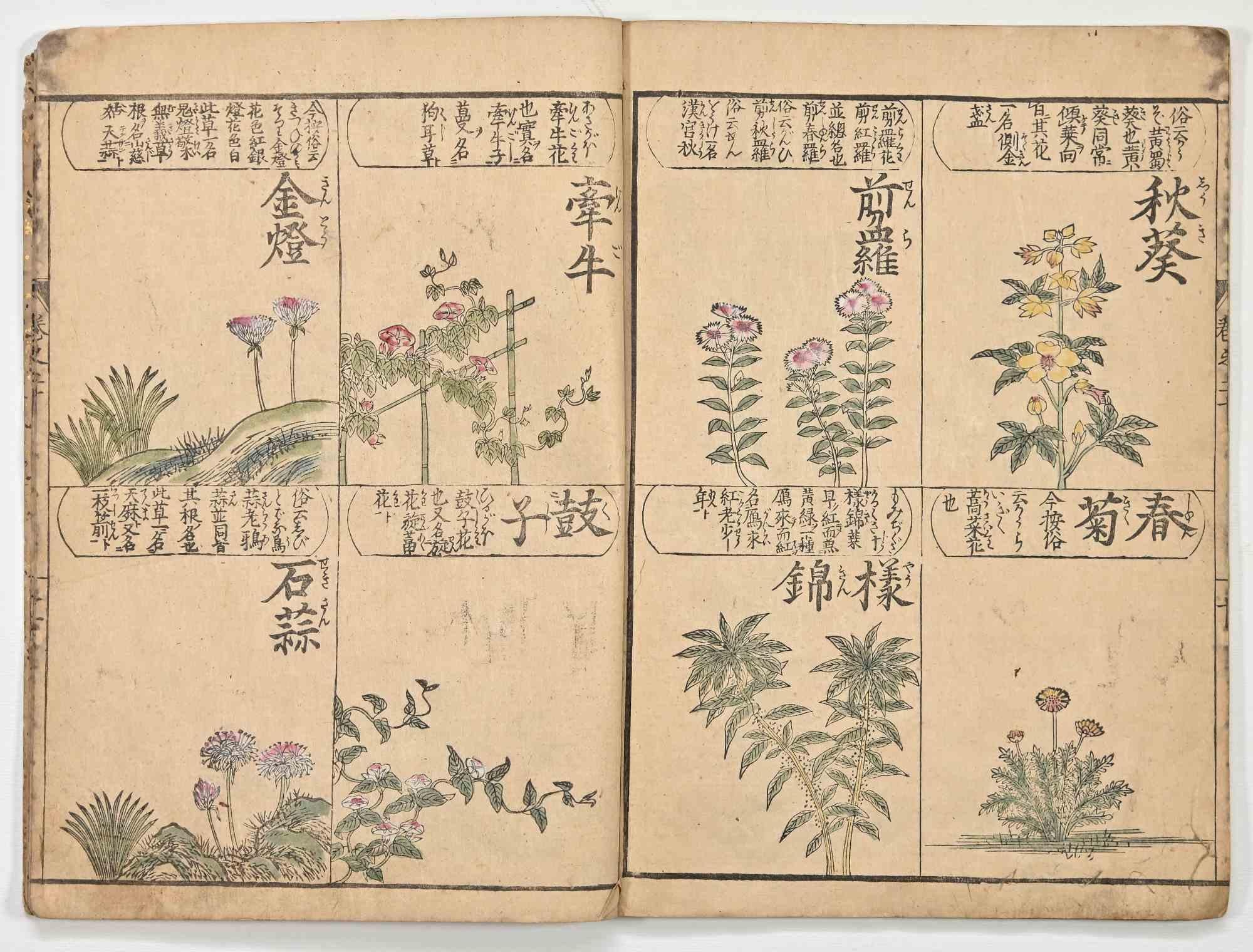 Chinese Herbal Book is a Rare book with beautiful oriental herbal wood prints realized in the 19th century.

In 29 pages.

All titled in Chinese.

In good condition with aged and consumed margins.

 