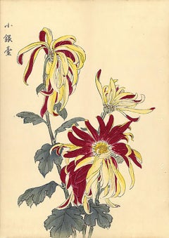 Chrysanthemum Woodblock Print - 10