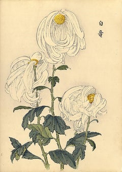 Chrysanthemum Woodblock Print - 14