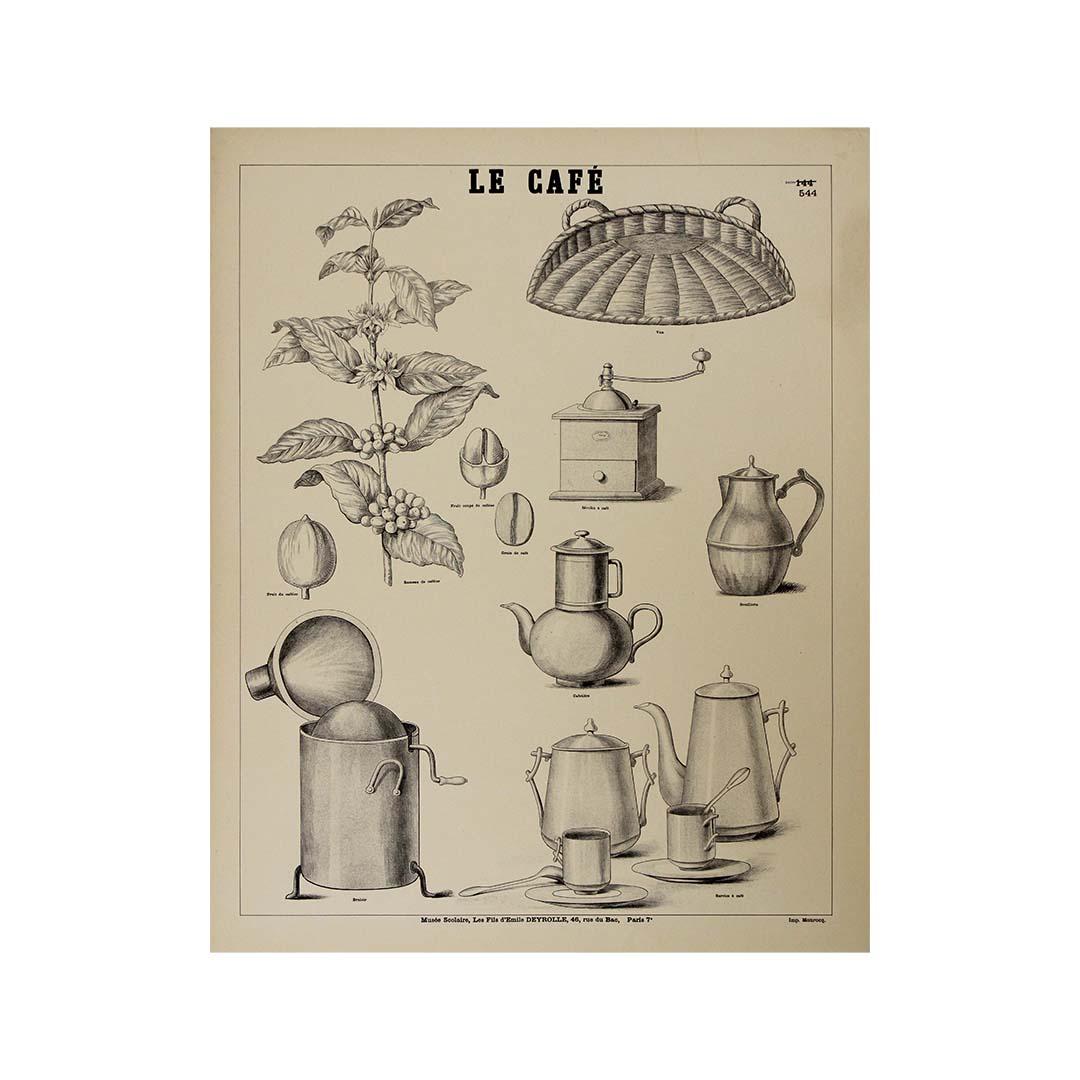 Circa 1900 Original vintage educational poster titled 