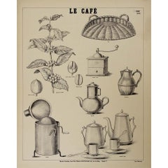 Circa 1900 Original vintage educational poster titled "Le Café"