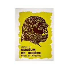 Retro Circa 1970 Original poster for the The Museum of Natural History of Geneva