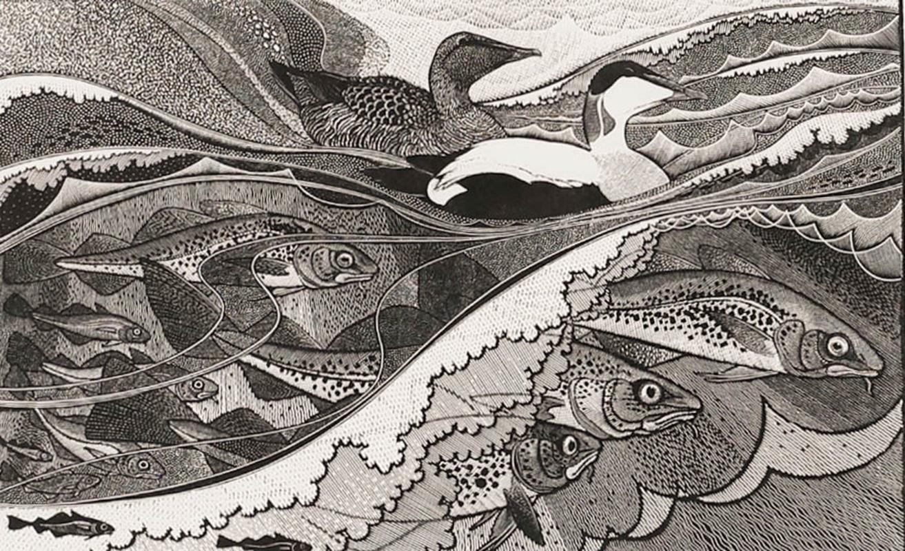 Colin See-Paynton (né en 1946) - gravure sur bois encadrée du 20e siècle, Eider & Cod - Print de Unknown