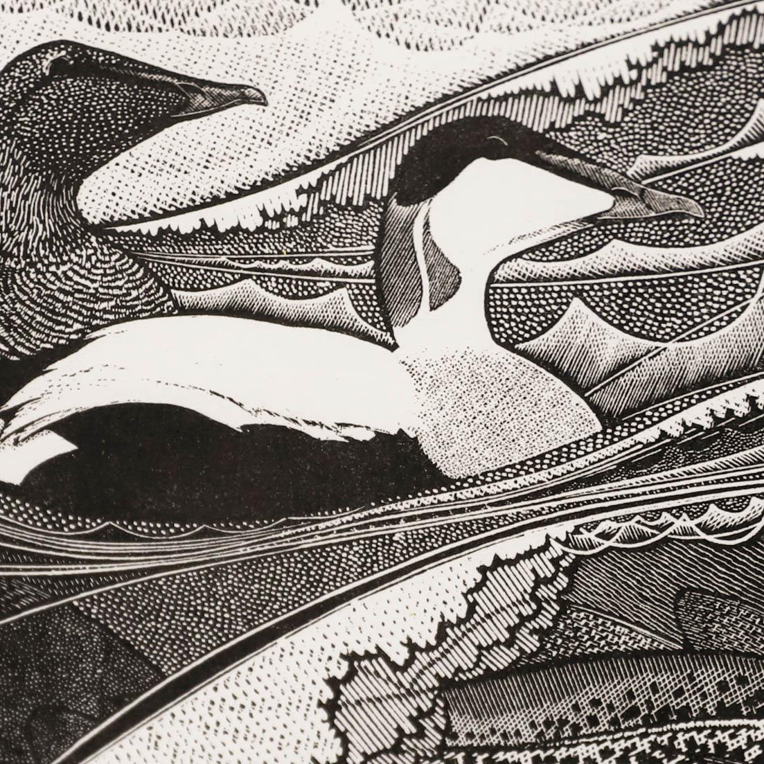 Colin See-Paynton (né en 1946) - gravure sur bois encadrée du 20e siècle, Eider & Cod - Gris Animal Print par Unknown