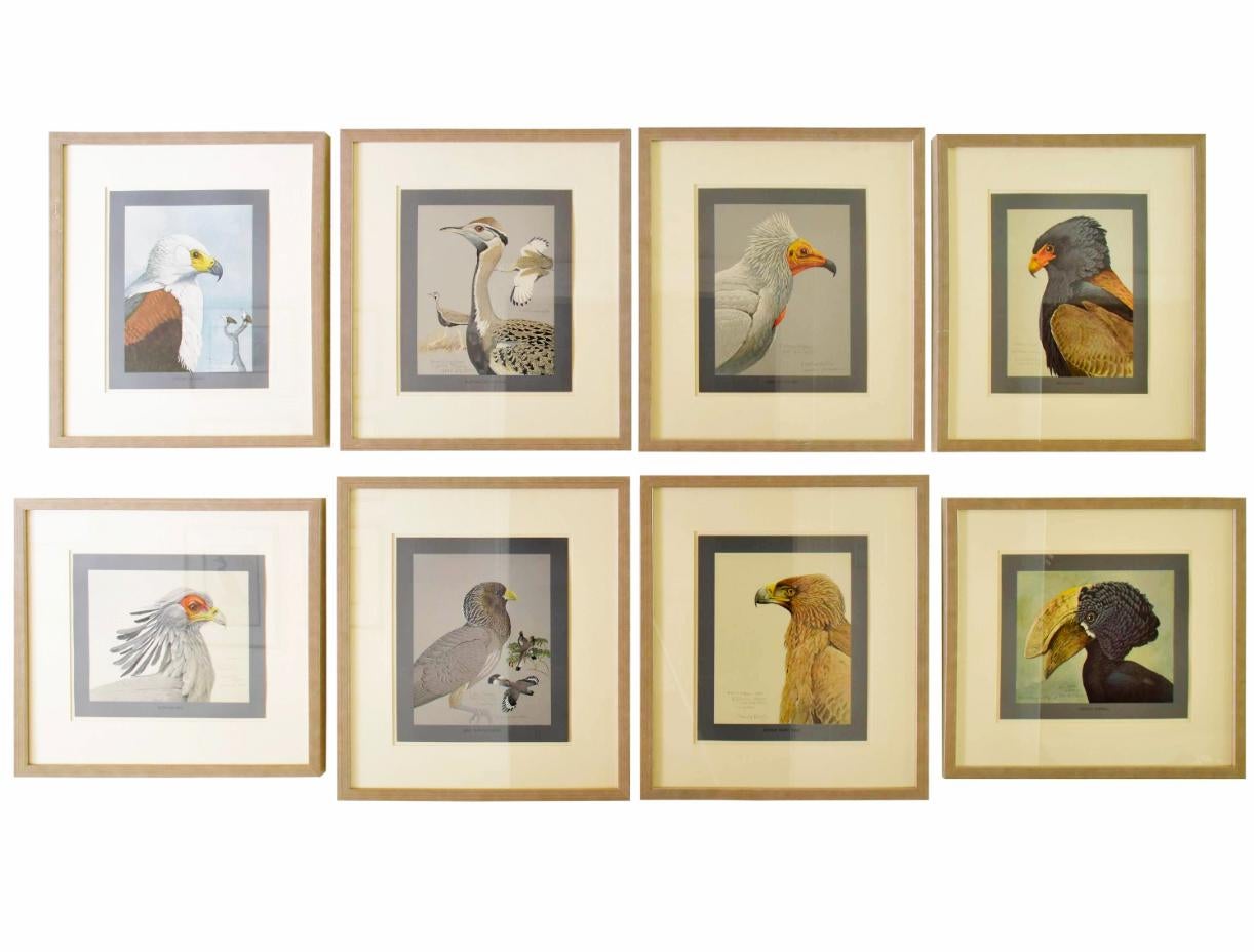 Unknown Animal Print – Collection of Eight Bird Prints