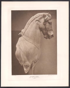 Cheval colossal, British Museum Sculpture grecque romaine classique photogravure