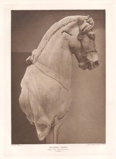 Colossal Horse, British Museum Greek Roman Classical sculpture photogravure