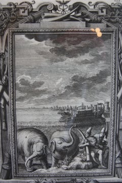 Copper Plate Engraving of a Pair of Elephants and Nautical Scene