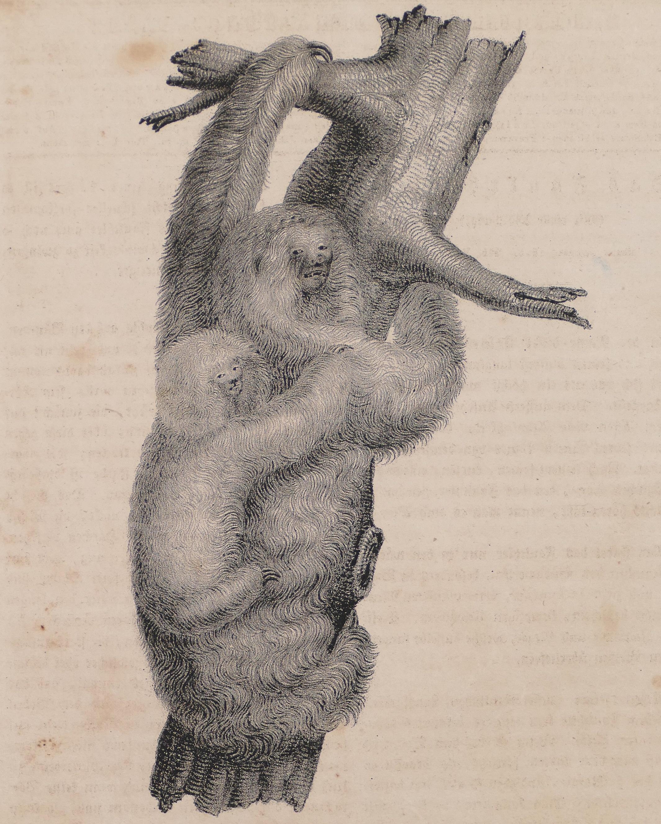 Paar Sklaven – Originallithographie, 1828 – Print von Unknown