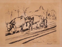 Vintage Cows - Original Etching on Paper - 20th Century