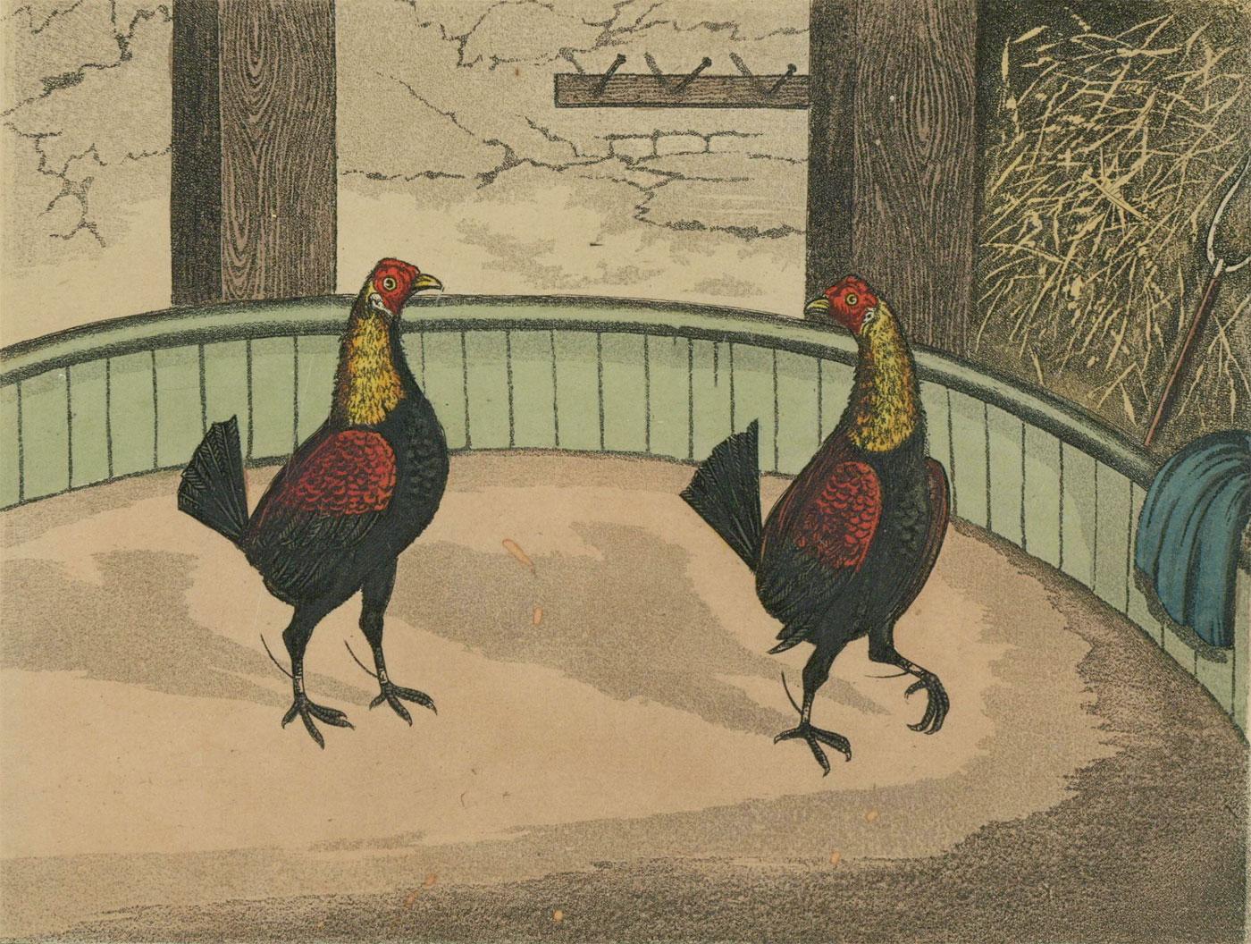 C.R. Stock - Set of Six Early 19th Century Engravings, Cockfighting Series - Print by Unknown