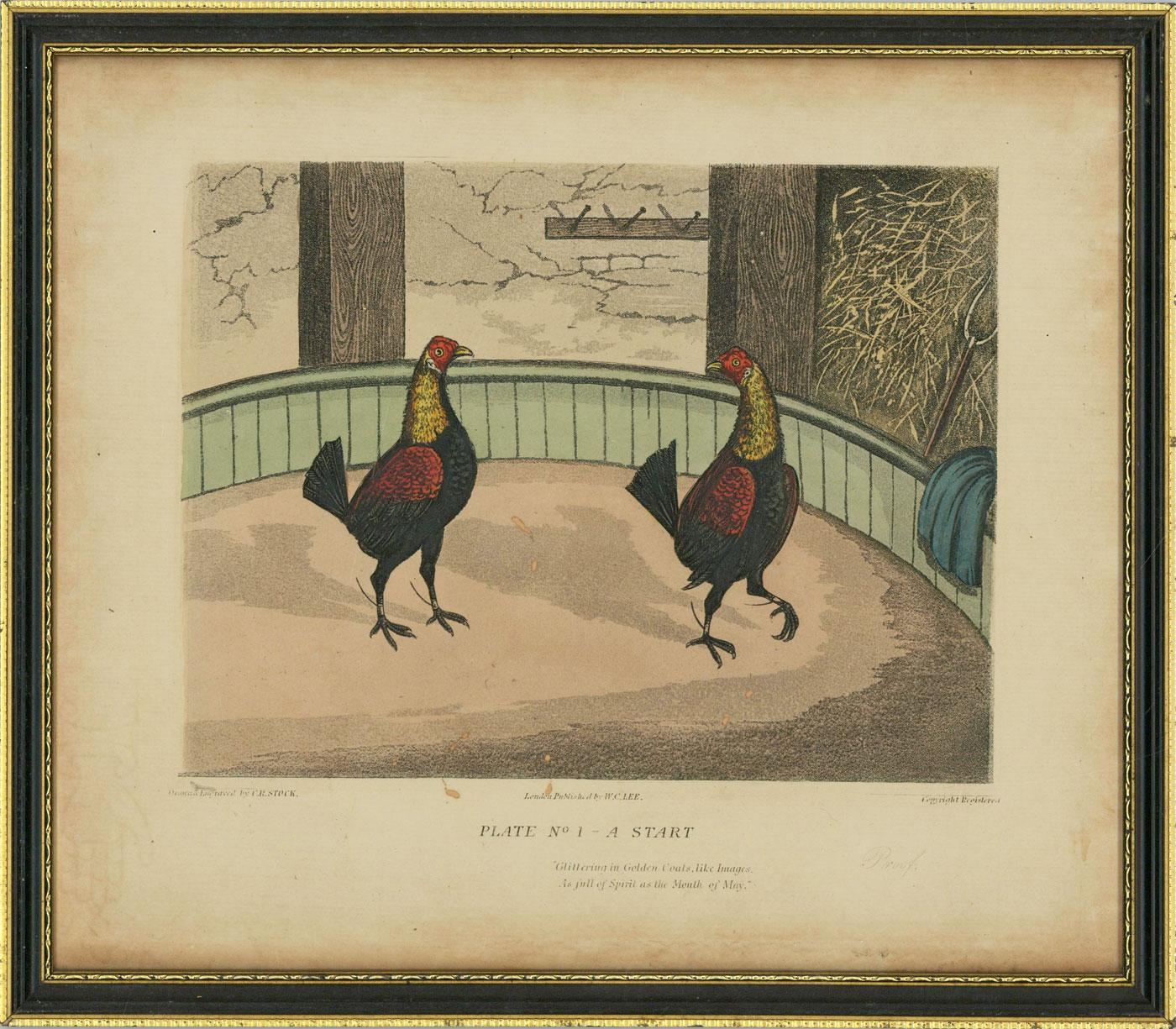 Unknown Animal Print - C.R. Stock - Set of Six Early 19th Century Engravings, Cockfighting Series