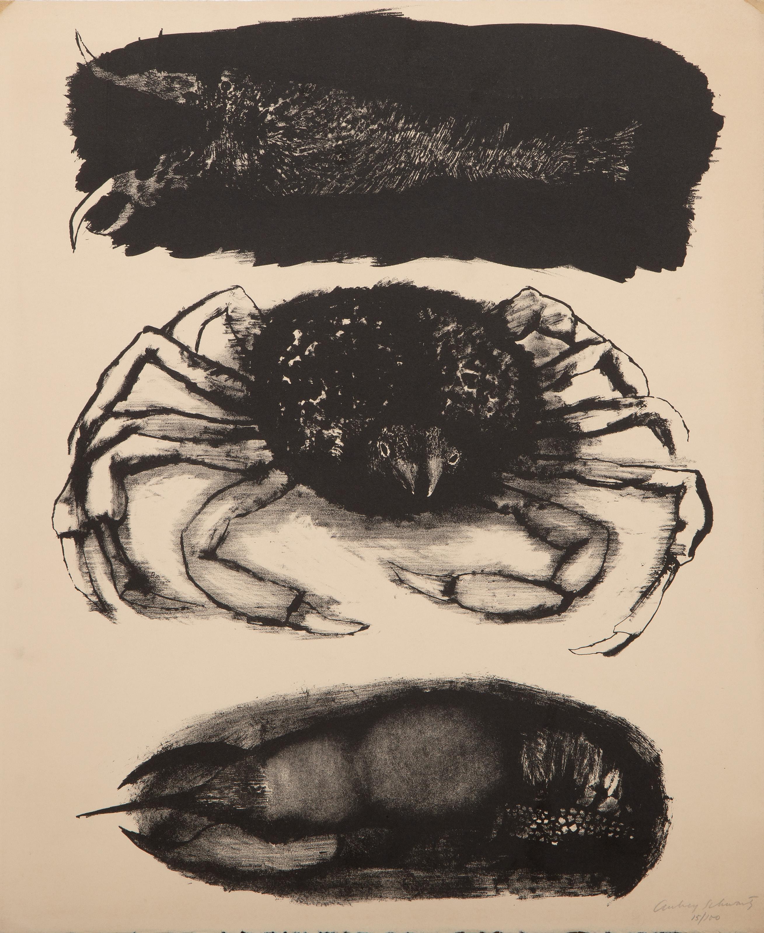  Aubrey Schwartz, estadounidense (1928 - 2019) -  Cangrejo de río, Año: hacia 1965, Medio: Litografía sobre Arches, firmada y numerada a lápiz, Edición: 15/100, Tamaño: 45,72 x 38,1 cm (18 x 15 pulg.) 
