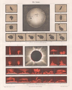 Die Sonne (The Sun), German antique astronomy chromolithograph print