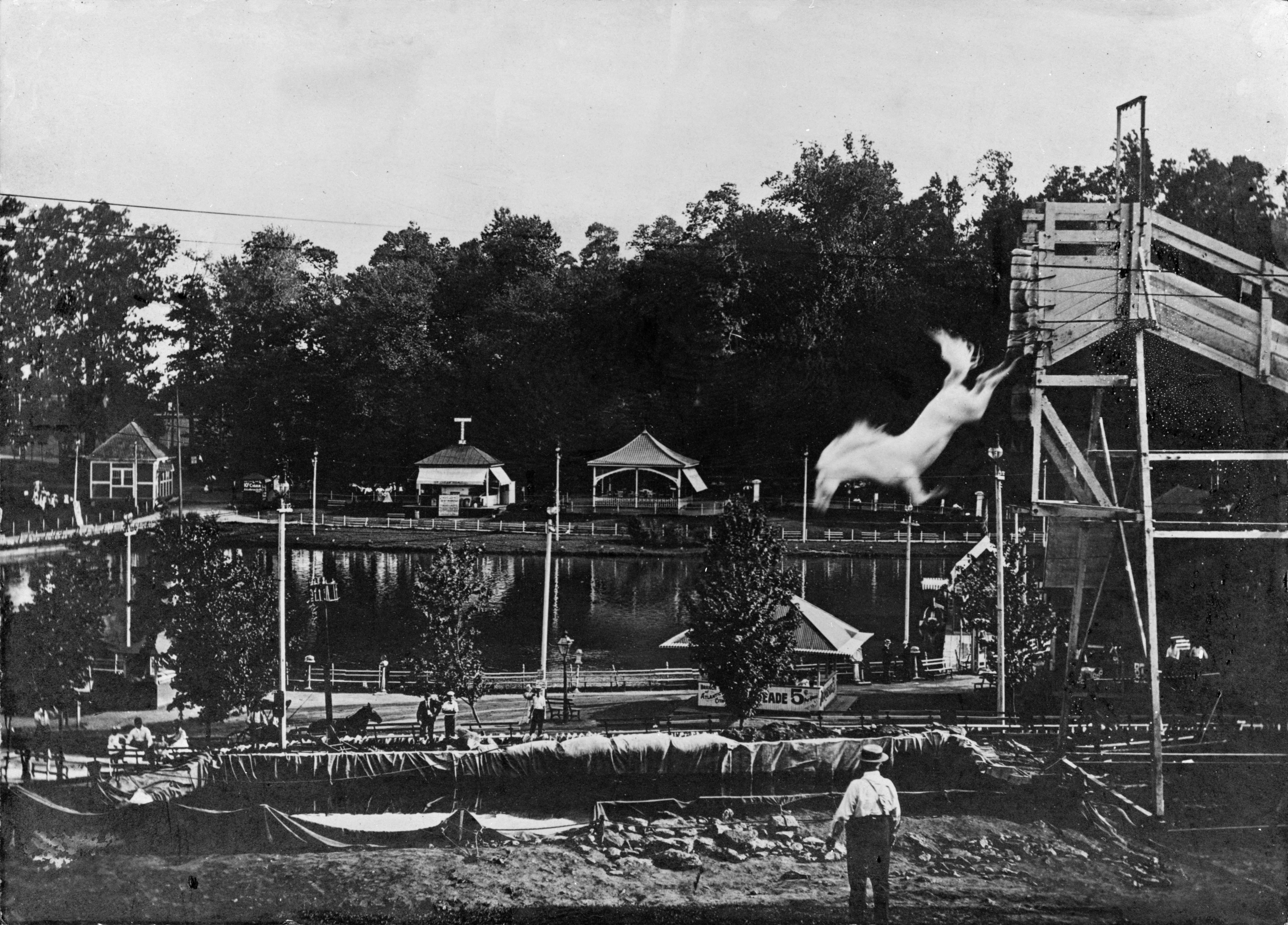 Unknown Black and White Photograph - Diving Horse