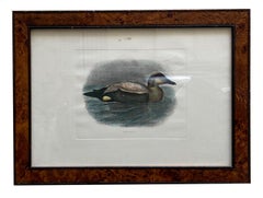 Duck - Colored lithograph on paper 1950s