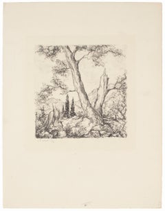 Eagle and Tree -  Etching - 1960s