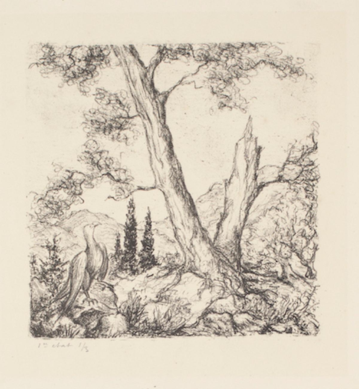 Unknown Landscape Print - Eagle and Tree -  Etching - 1960s