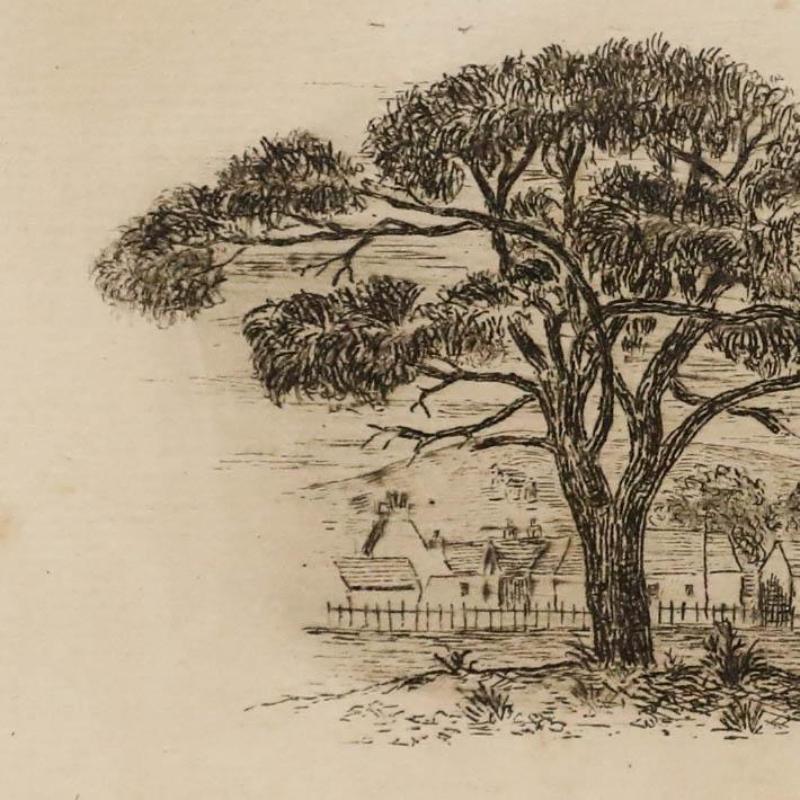 Acquaforte dei primi del Novecento - Un albero possente - Landscape Print Beige di Unknown
