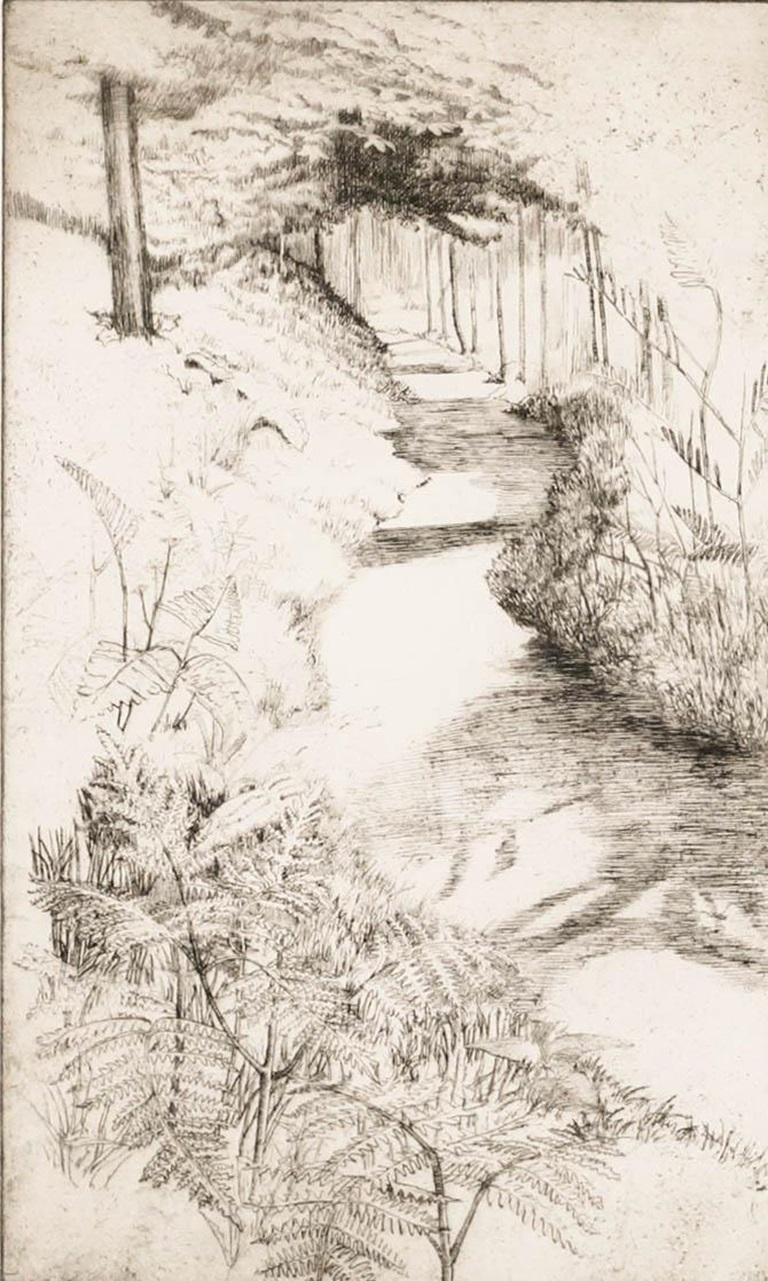 Ellen K. Hallett (1888-1988) - c.1920 Gravure, Leigh Woods, Bristol - Print de Unknown
