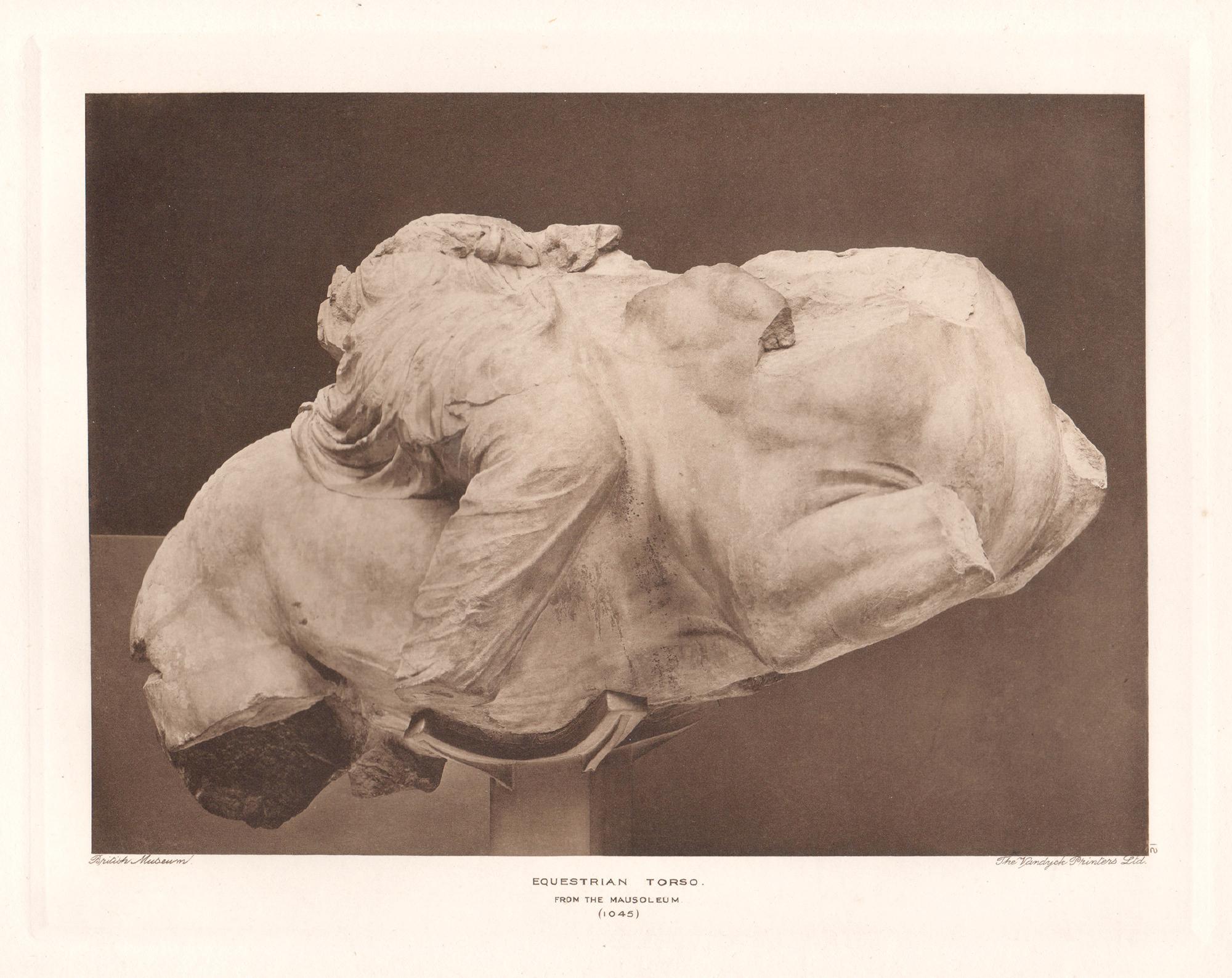 Torso equestre, British Museum Scultura classica romana in fotoincisione