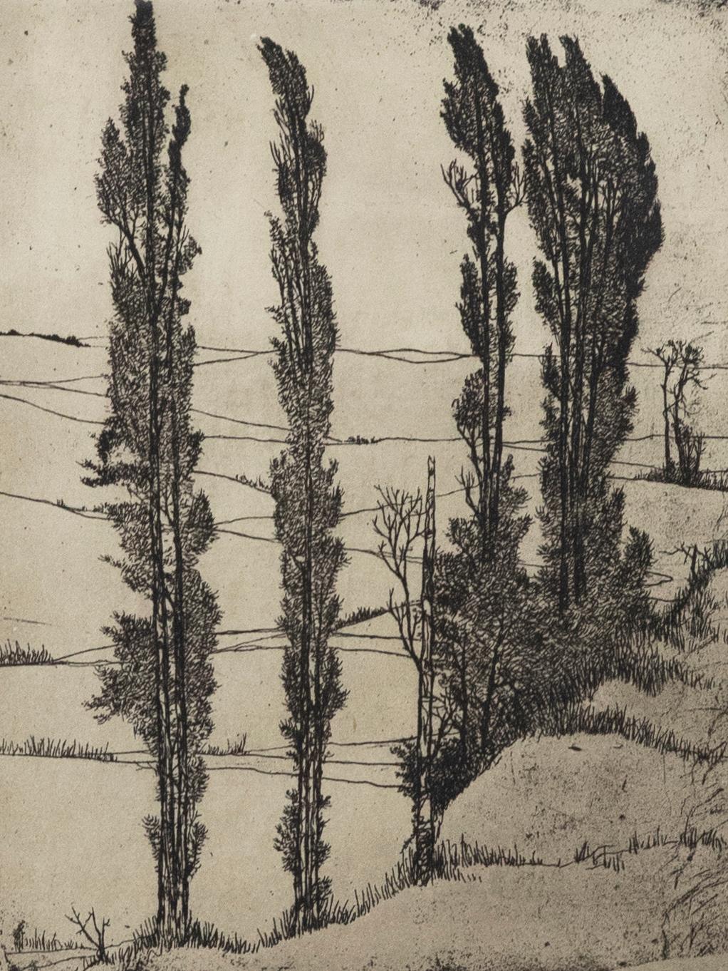 Eugene Yoors (1879-1977) - Framed Mid 20th Century Etching, Tall Trees - Print by Unknown