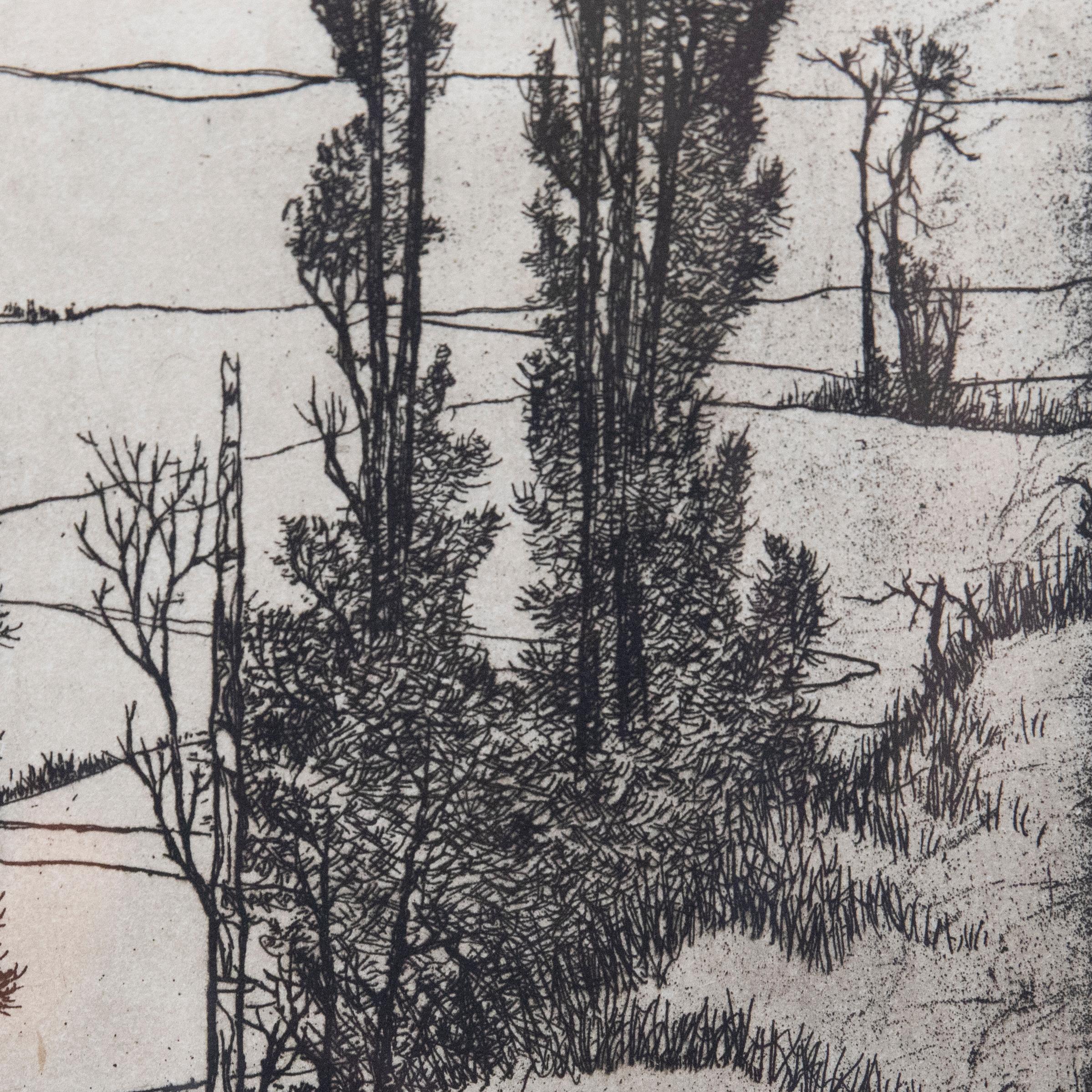 Eugene Yoors (1879-1977) - Framed Mid 20th Century Etching, Tall Trees For Sale 1