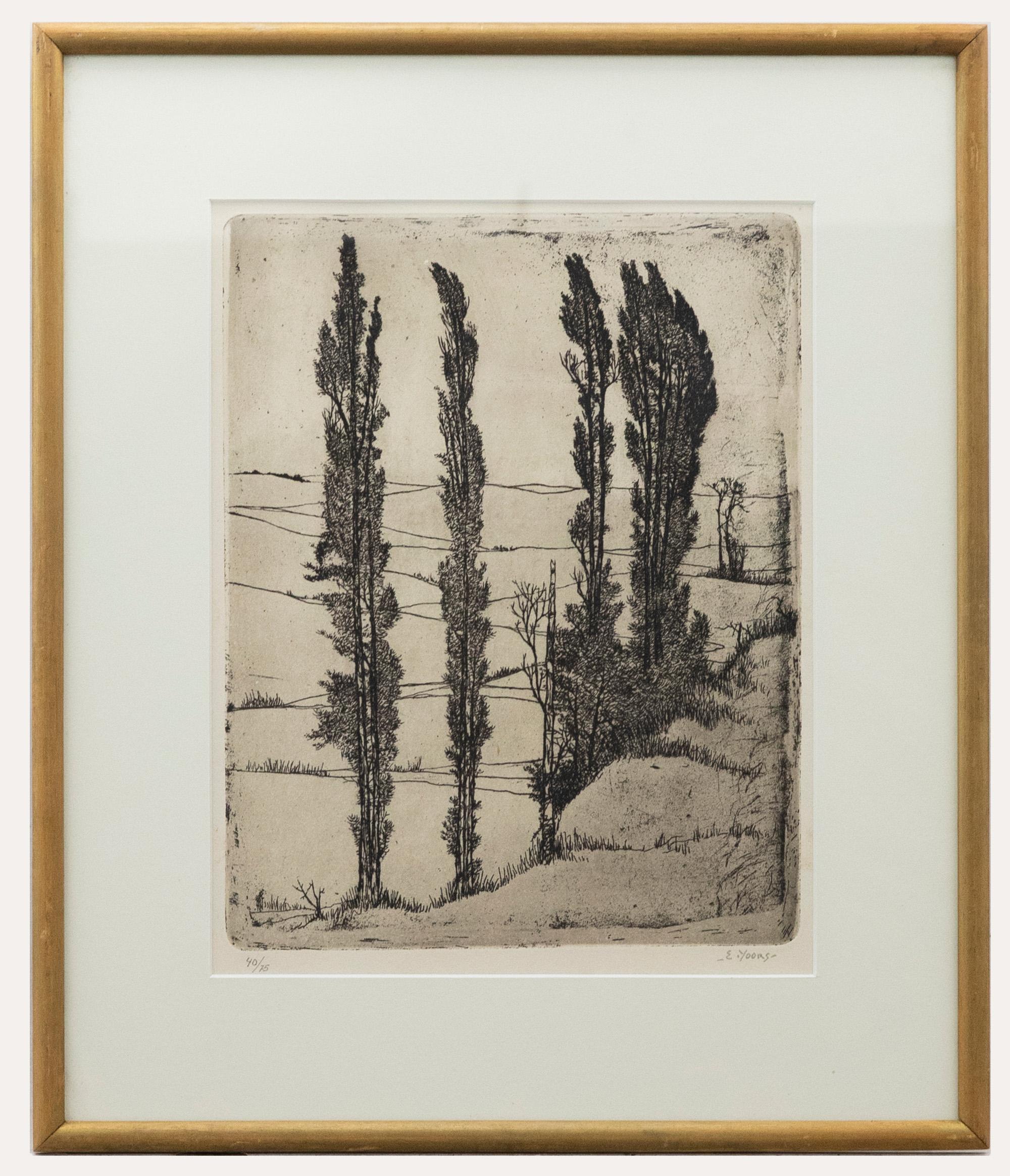 Unknown Landscape Print - Eugene Yoors (1879-1977) - Framed Mid 20th Century Etching, Tall Trees