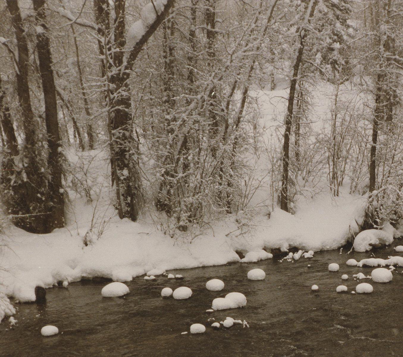 Evelyn H. Lauder 'Snow Marshmallows' 1991- Signed For Sale 1